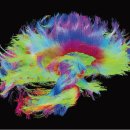 한빛네트워크 이미지