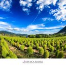 황산공원 축구장 티스토리