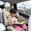 한뼘미디어 | [블루래빗 토이북] 여름 휴가 장거리 이동 카시트 거부 극복! 외출 필수 육아템 장점 3가지