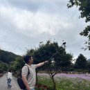 카페문희