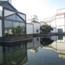 아이엠50 이미지