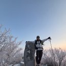 일출코다리 | 남양주 천마산 일출 산행