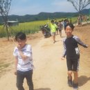 웅양초등학교 이미지