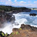 코지카페 이미지