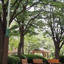 오조산공원로 이미지