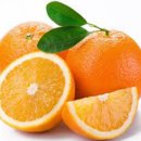 다이어트요가-C 이미지