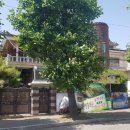 사파동120 이미지