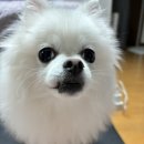 오즈 노래연습장 이미지