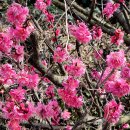 여난농장 이미지