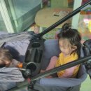 조코라인 이미지