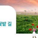 Flower Garden 이미지