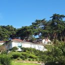 동창펜션 이미지