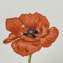 보테니컬 아트 이미지