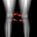 경희양지한의원 이미지