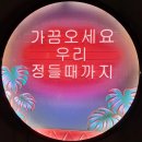 임팩트 계대점 | 분위기도 포근하고 가성비도 좋은 대구계대술집 동문달밤포차 냠냠후기