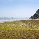 우림장민박 이미지