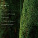 제주, 숲의 음악 LP ( 이벤트 ; CD + 향수 증정 ) 예약 안내 이미지