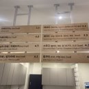 미뇽(mignon) 이미지