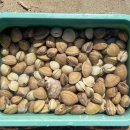 하늘바다펜션식당 이미지