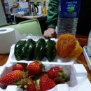 완주양봉원 이미지