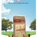 대주로 이미지