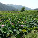 대원산소 이미지