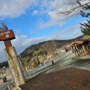 양서·파충류생태공원 아나콘다관 | <전시관람 / 전남 함평 함평자연생태공원 함평양서파충류생태공원>