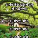 56차 해돋이 산행 화순너릿재 이미지