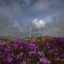 서광목장 이미지