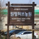 구가네농원 | 화성 원평허브농원 데이트 코스 추천｜허브향 가득 힐링 공간