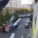 도마약국 이미지