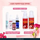 레푸스 이미지