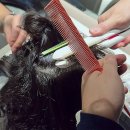 행복헤어 이미지