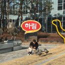 전북푸른학교 | [익산]23개월 아이랑 가기 좋은 무료 공장견학추천 하림푸드투어후기