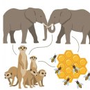 [발달장애인 생활요리교실] 나 혼자 차린다 | 발달장애인 스피치 농담과 상호작용에 대한 고찰?