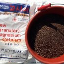 동해종묘사 이미지