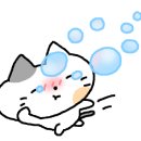 신안왕새우직판장 이미지