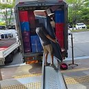 선주초등학교 | 이사 고민 끝! 구미포장이사 삼성익스프레스 덕분에 새 출발 제대로 했어요!