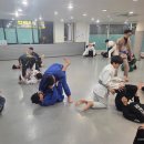 본주짓수 - 미추홀구 미추홀대로 579 | 본주짓수