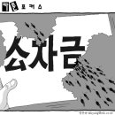 5월28일-영상칼럼(금요일) 이미지