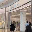 더자라 | 자라 반팔티 남성 블랙 사이즈 내돈내산 후기!