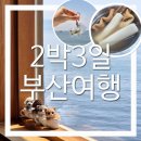 피자와 김밥천국 | 여행]이라 쓰고 이재모여행이라고 읽는 3일차(이재모피자본점,흰여울문화마을,감천문화마을,국제시장맛집)