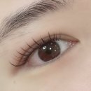 라엔뷰티 | 성신여대 속눈썹연장 다들 예쁘다는 라엔뷰티
