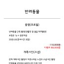 미스튜디오