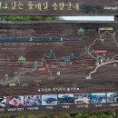 산수유 둘레길 티스토리
