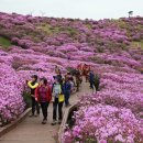 향토 농특산물 판매장 이미지