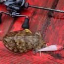 협동농약사 이미지