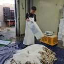 삼풍상사 - 부산진구 | 삼풍상사