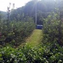 선재농장 이미지