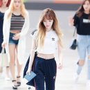 웬디 카카오 검색결과